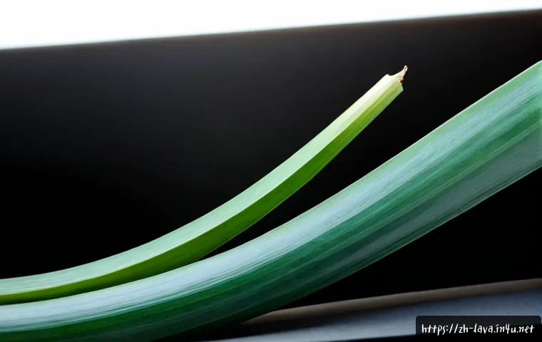 《爆笑虫子》红黄角色配色代表什么?认角色、选周边的实用指南 4 라바 캐릭터 컬러의 의미 관련 이미지 2